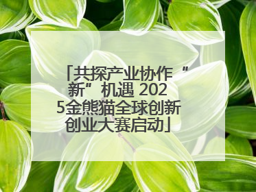 共探产业协作“新”机遇 2025金熊猫全球创新创业大赛启动