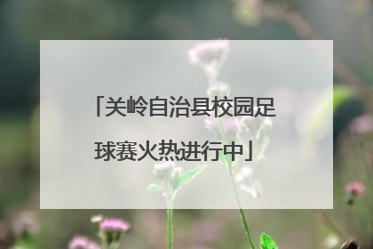 关岭自治县校园足球赛火热进行中