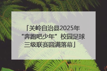 关岭自治县2025年“奔跑吧少年”校园足球三级联赛圆满落幕