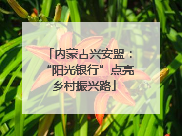 内蒙古兴安盟：“阳光银行”点亮乡村振兴路