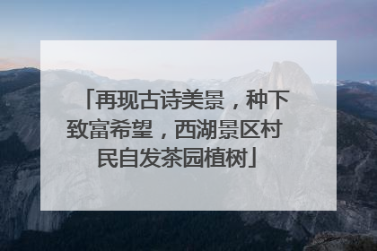 再现古诗美景，种下致富希望，西湖景区村民自发茶园植树
