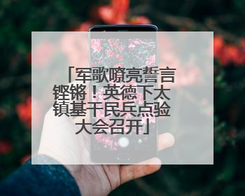 军歌嘹亮誓言铿锵！英德下太镇基干民兵点验大会召开