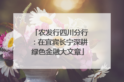 农发行四川分行：在宜宾长宁深耕绿色金融大文章