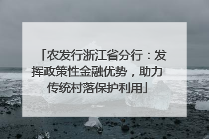 农发行浙江省分行：发挥政策性金融优势，助力传统村落保护利用