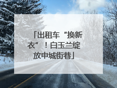 出租车“换新衣”！白玉兰绽放申城街巷
