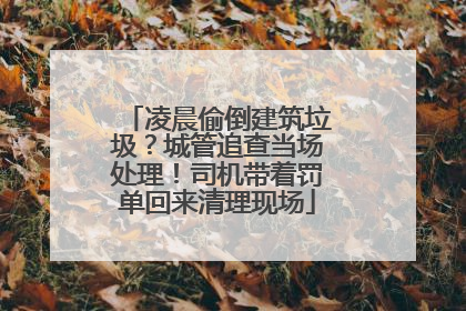 凌晨偷倒建筑垃圾？城管追查当场处理！司机带着罚单回来清理现场