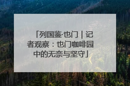 列国鉴·也门｜记者观察：也门咖啡园中的无奈与坚守