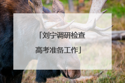 刘宁调研检查高考准备工作