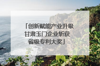 创新赋能产业升级 甘肃玉门企业斩获省级专利大奖
