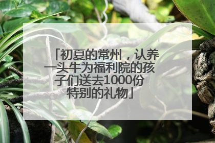 初夏的常州，认养一头牛为福利院的孩子们送去1000份特别的礼物