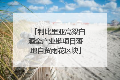 利比里亚高粱白酒全产业链项目落地自贸雨花区块
