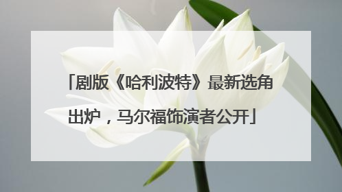 剧版《哈利波特》最新选角出炉，马尔福饰演者公开