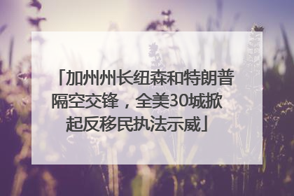加州州长纽森和特朗普隔空交锋，全美30城掀起反移民执法示威