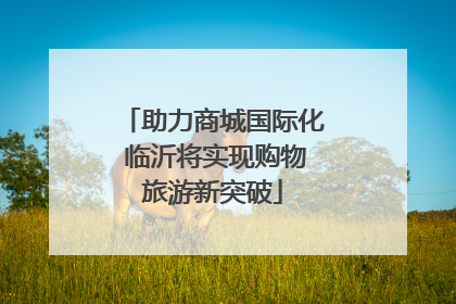 助力商城国际化 临沂将实现购物旅游新突破