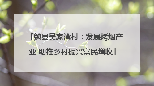 勉县吴家湾村：发展烤烟产业 助推乡村振兴富民增收