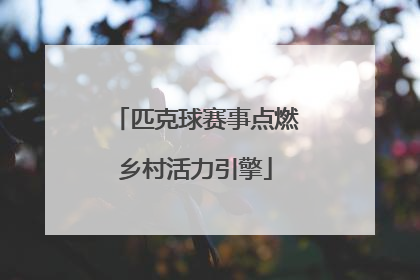 匹克球赛事点燃乡村活力引擎