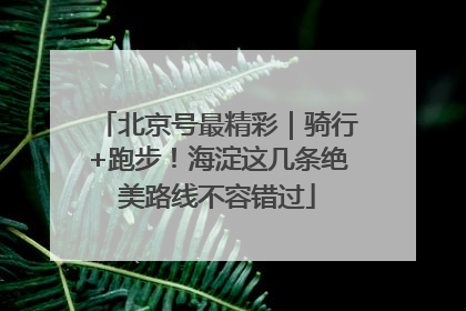 北京号最精彩｜骑行+跑步！海淀这几条绝美路线不容错过