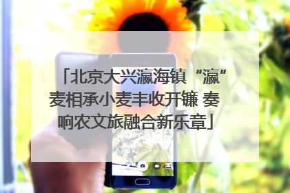 北京大兴瀛海镇“瀛”麦相承小麦丰收开镰 奏响农文旅融合新乐章