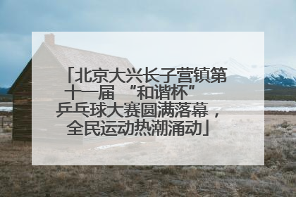 北京大兴长子营镇第十一届 “和谐杯” 乒乓球大赛圆满落幕，全民运动热潮涌动