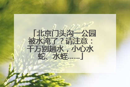 北京门头沟一公园被水淹了？请注意：千万别趟水，小心水蛇、水蛭……