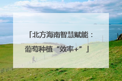 北方海南智慧赋能：葡萄种植“效率+”