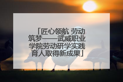 匠心领航 劳动筑梦——武威职业学院劳动研学实践育人取得新成果