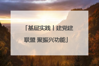 基层实践丨建党建联盟 聚振兴功能