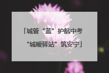 城管“蓝”护航中考 “城暖驿站”筑安宁
