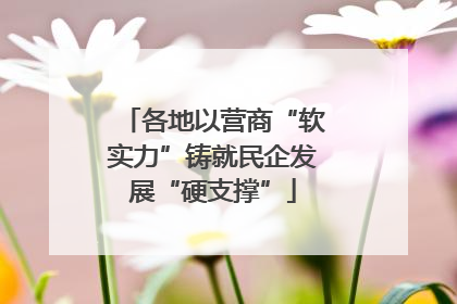 各地以营商“软实力”铸就民企发展“硬支撑”
