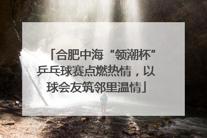 合肥中海“领潮杯”乒乓球赛点燃热情，以球会友筑邻里温情