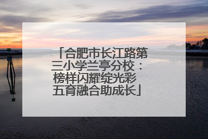 合肥市长江路第三小学兰亭分校：榜样闪耀绽光彩 五育融合助成长