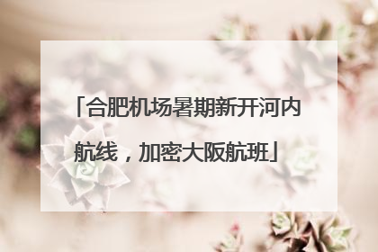 合肥机场暑期新开河内航线，加密大阪航班
