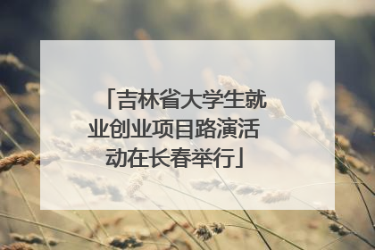 吉林省大学生就业创业项目路演活动在长春举行