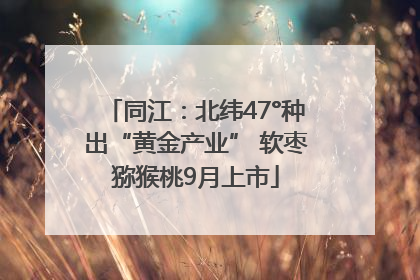 同江：北纬47°种出“黄金产业” 软枣猕猴桃9月上市