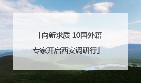 向新求质 10国外籍专家开启西安调研行