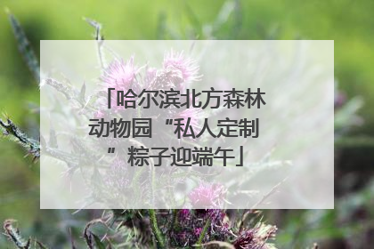哈尔滨北方森林动物园“私人定制”粽子迎端午