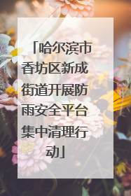 哈尔滨市香坊区新成街道开展防雨安全平台集中清理行动