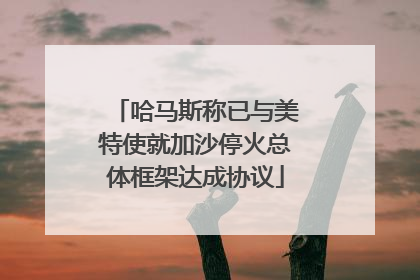 哈马斯称已与美特使就加沙停火总体框架达成协议
