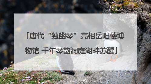唐代“独幽琴”亮相岳阳楼博物馆 千年琴韵洞庭湖畔苏醒