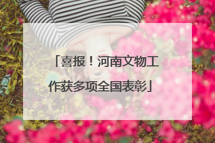 喜报！河南文物工作获多项全国表彰