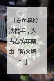 嘉鱼县检法携手，为青春筑牢禁毒“防火墙”
