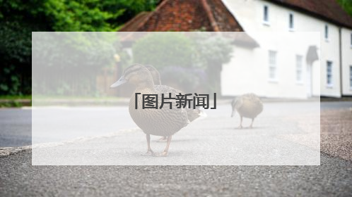 图片新闻