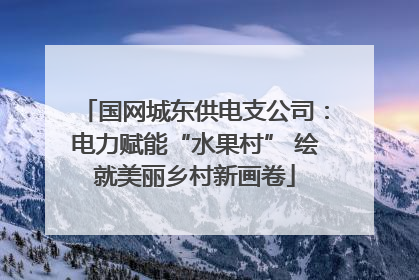 国网城东供电支公司：电力赋能“水果村” 绘就美丽乡村新画卷