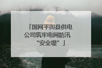 国网平舆县供电公司筑牢电网防汛“安全堤”
