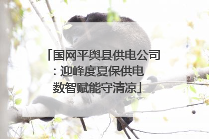 国网平舆县供电公司：迎峰度夏保供电  数智赋能守清凉