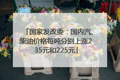 国家发改委：国内汽、柴油价格每吨分别上涨235元和225元