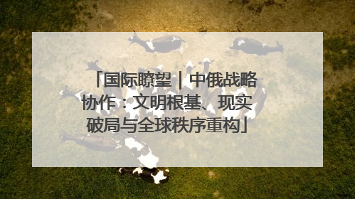 国际瞭望｜中俄战略协作：文明根基、现实破局与全球秩序重构
