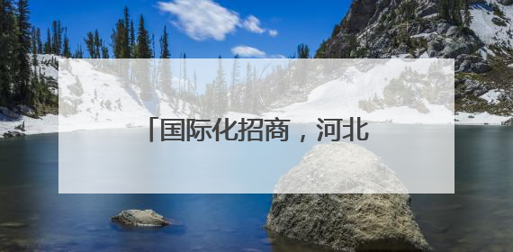 国际化招商，河北广邀全球投资客商