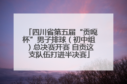 四川省第五届“贡嘎杯”男子排球（初中组）总决赛开赛 自贡这支队伍打进半决赛