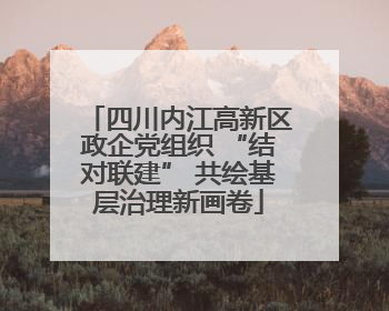 四川内江高新区政企党组织 “结对联建” 共绘基层治理新画卷